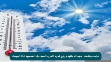 حرارة مرتفعة.. موجات عالية ورياح قوية تضرب السواحل المصرية غدًا الأربعاء